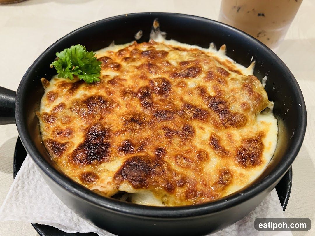 Food Dish