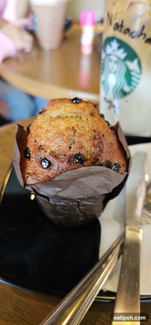 Starbucks Muffin and Beverage