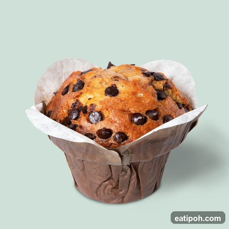 Chocolate Chip Muffin