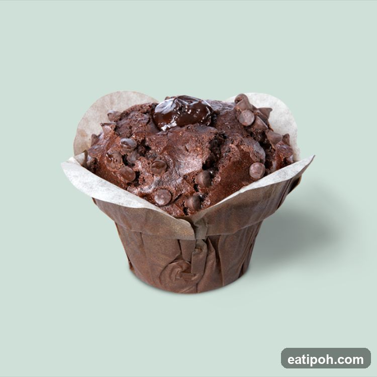 Chocolate Muffin