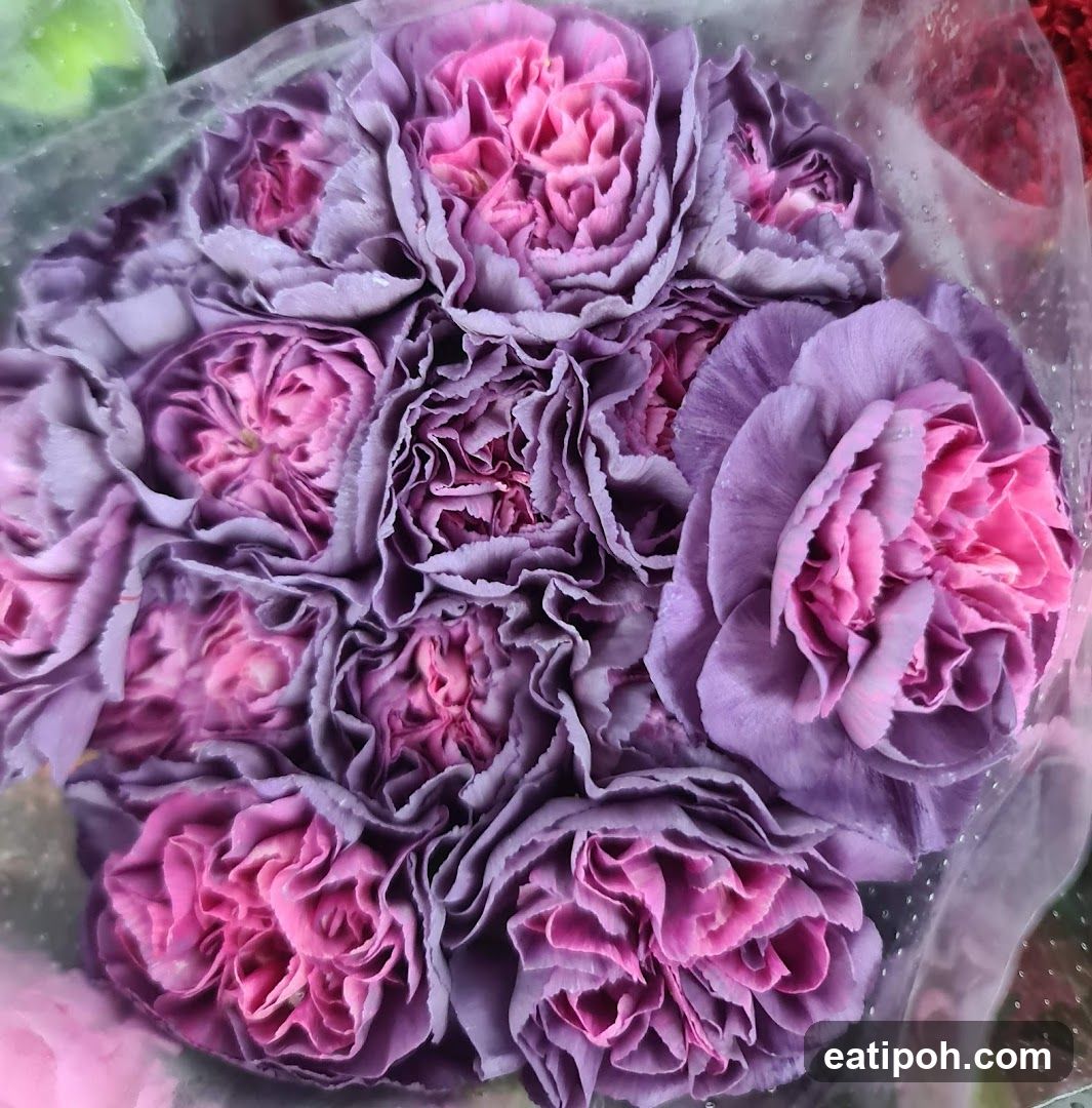 Purple and pink flowers in a bouquet
