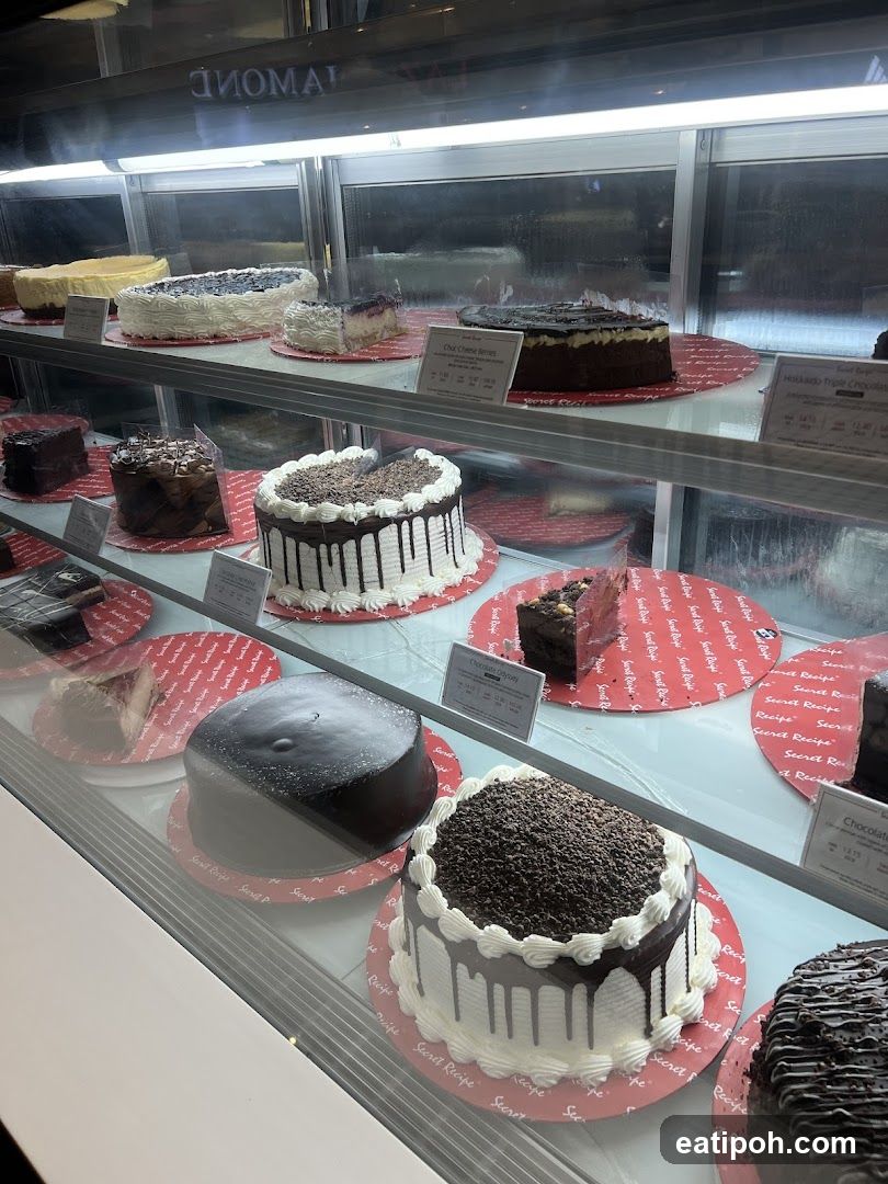 Cake Display Case