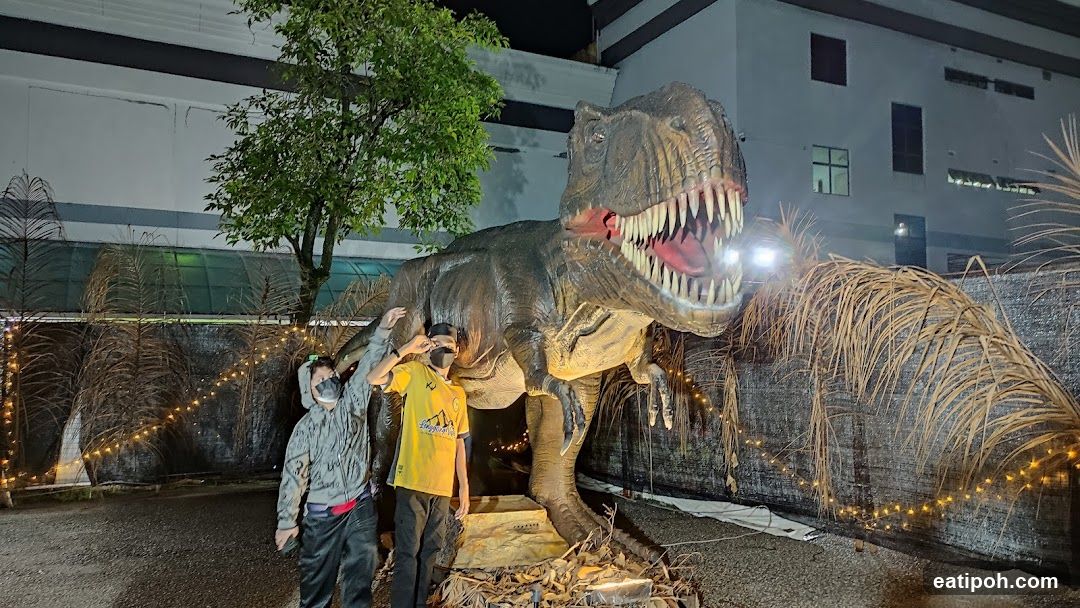 Dinosaur Exhibit at Night