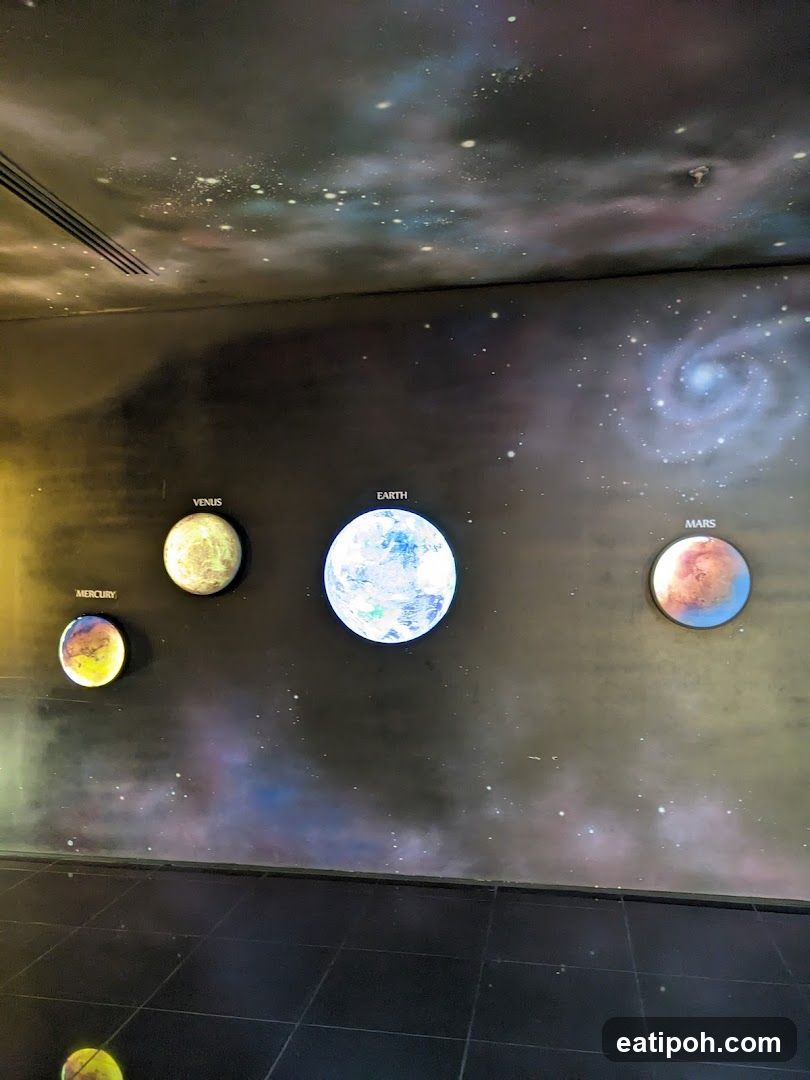 Space exhibit wall