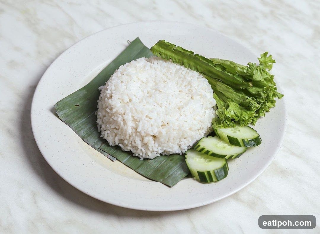 Rice and Vegetables on Plate