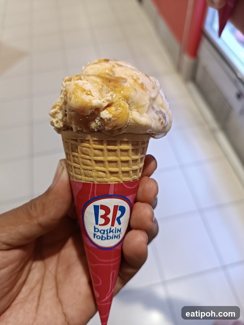 Baskin Robbins Ice Cream Cone