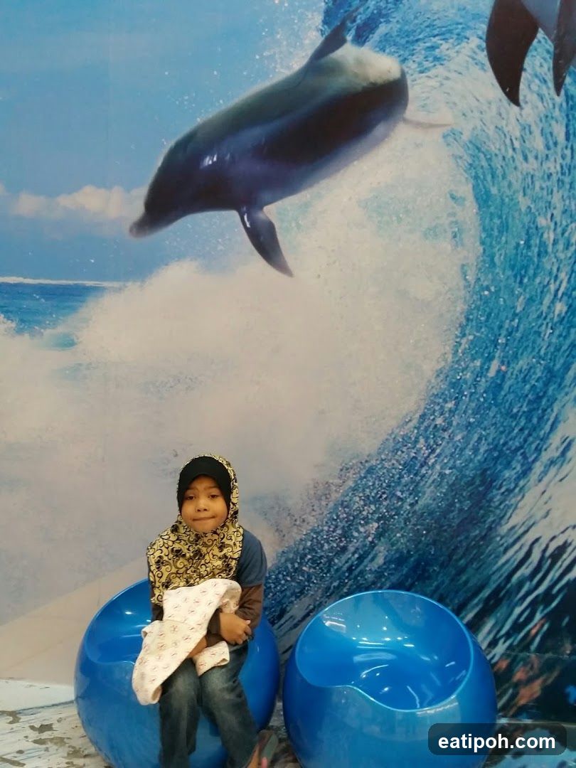 Child at dolphin-themed display