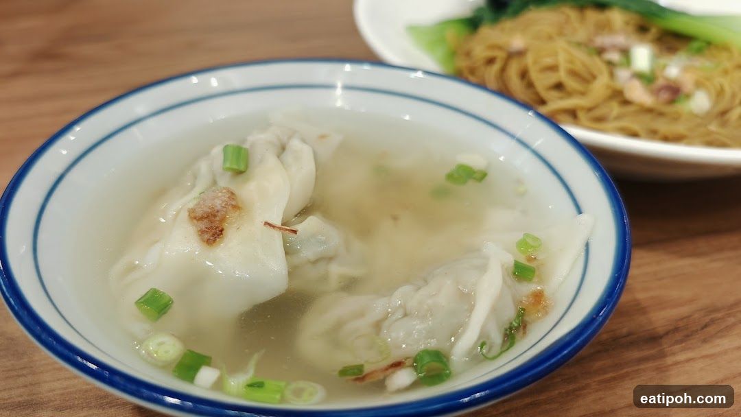 Wonton Soup and Noodles