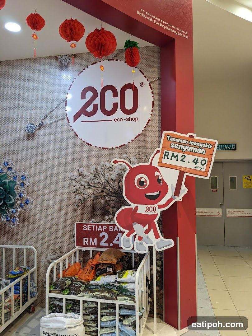 2CO Eco-Shop Interior Display
