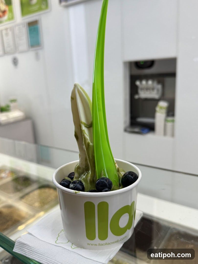 Frozen yogurt cup with toppings