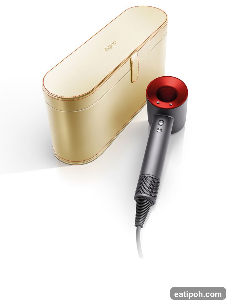 Dyson Hair Dryer and Case