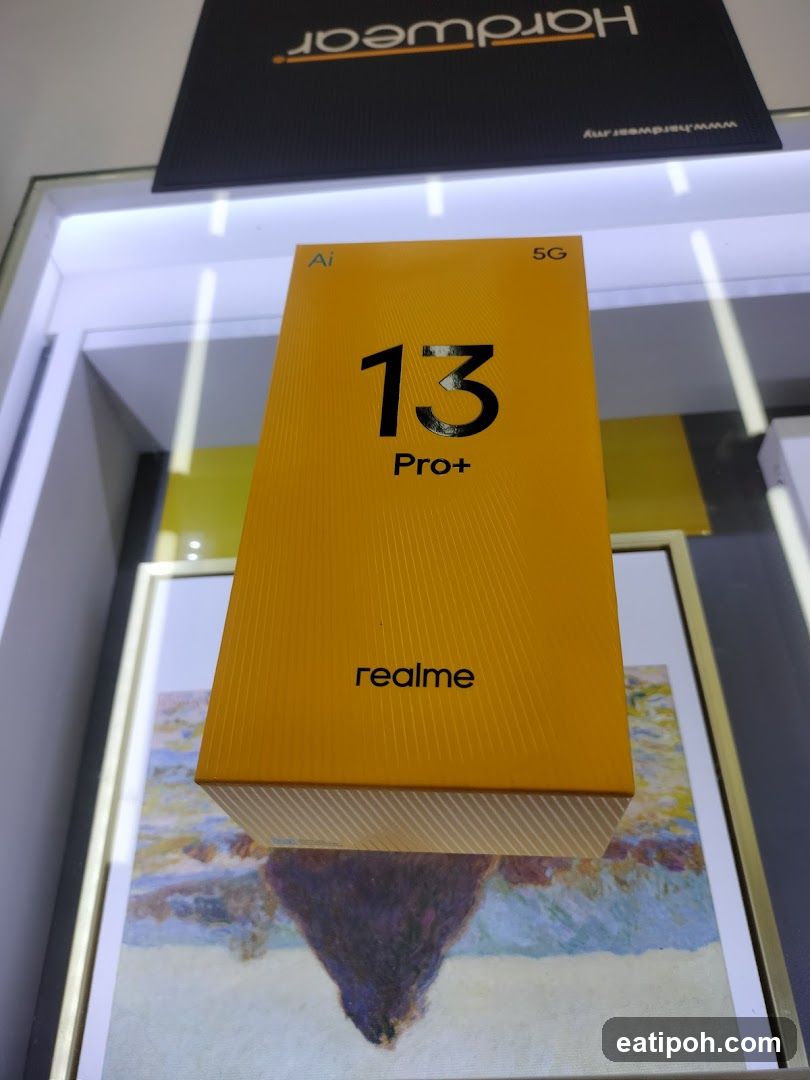 Realme 13 Pro+ Box Display