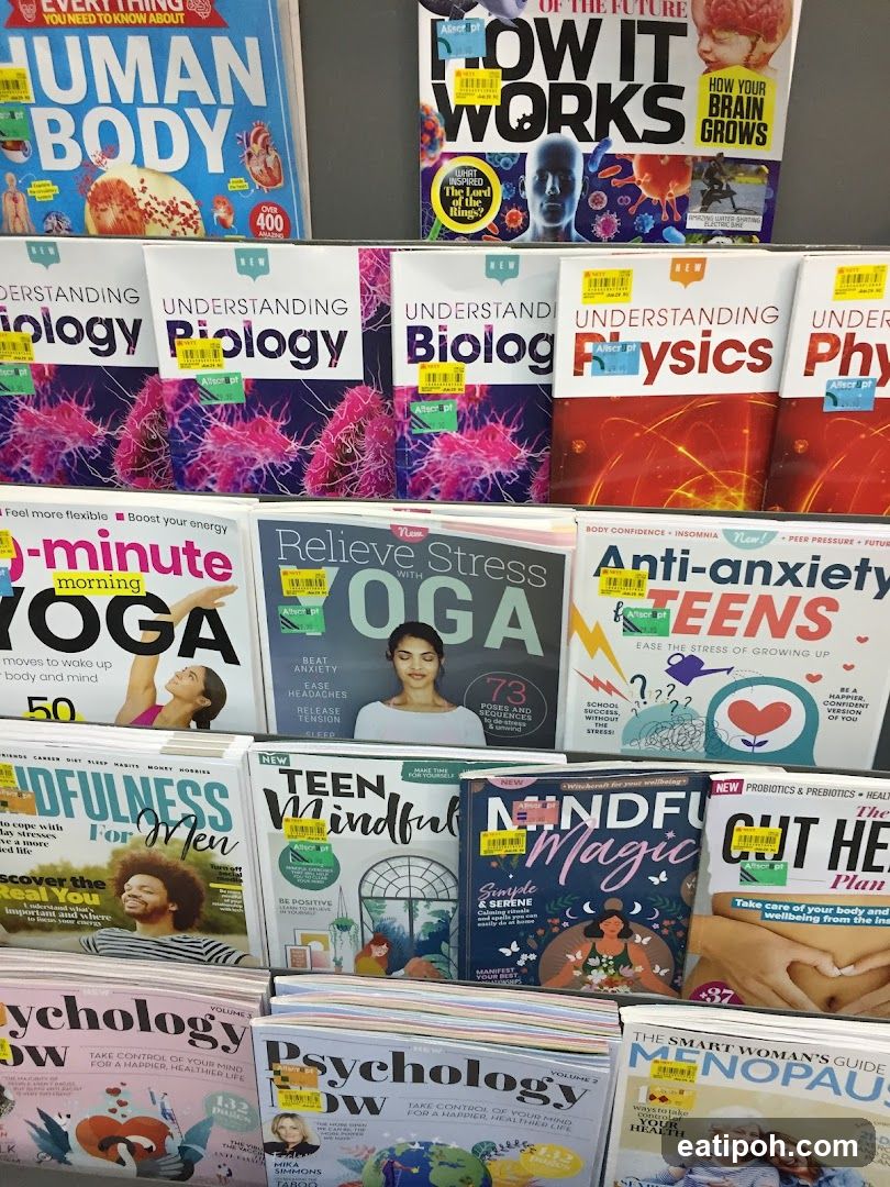 Magazine Display Shelf