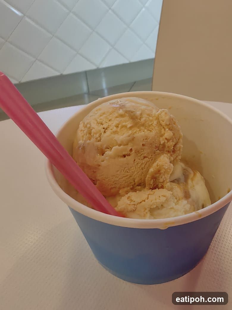 Ice Cream in Cup with Straw
