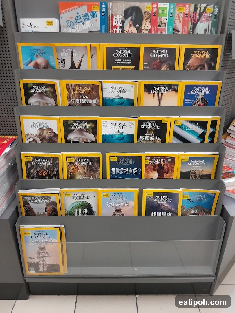 Magazine Display Shelf
