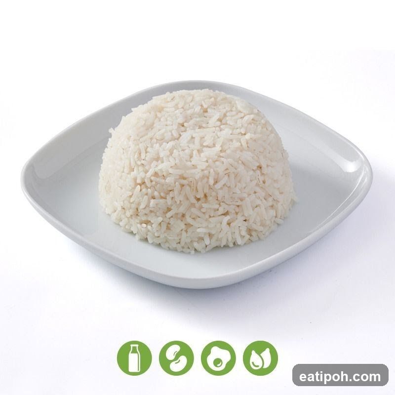Rice on Plate
