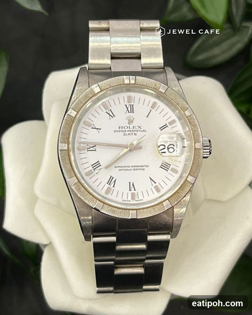 Rolex Watch Display