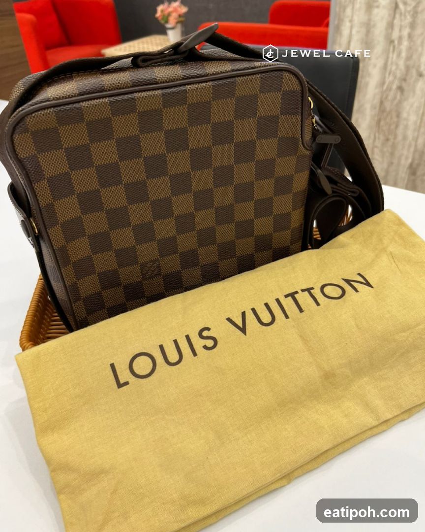 Louis Vuitton Bag