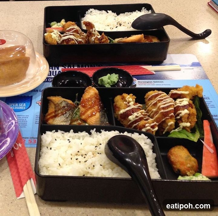 Lunch Bento Boxes