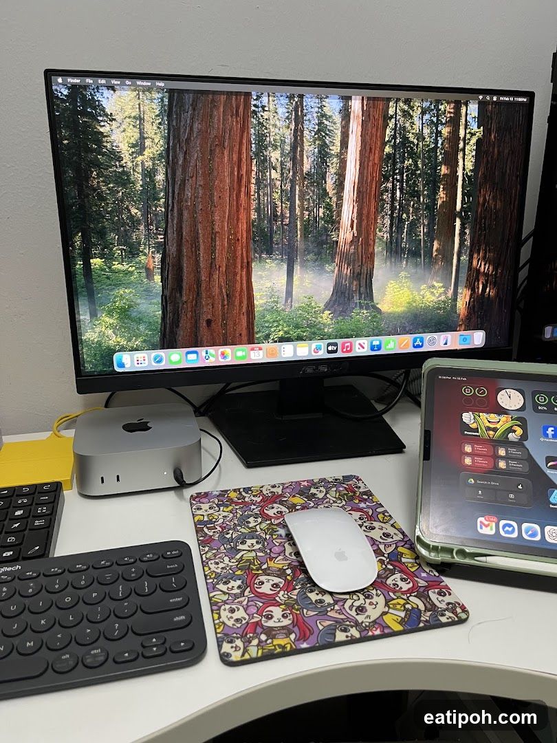 Desk Setup