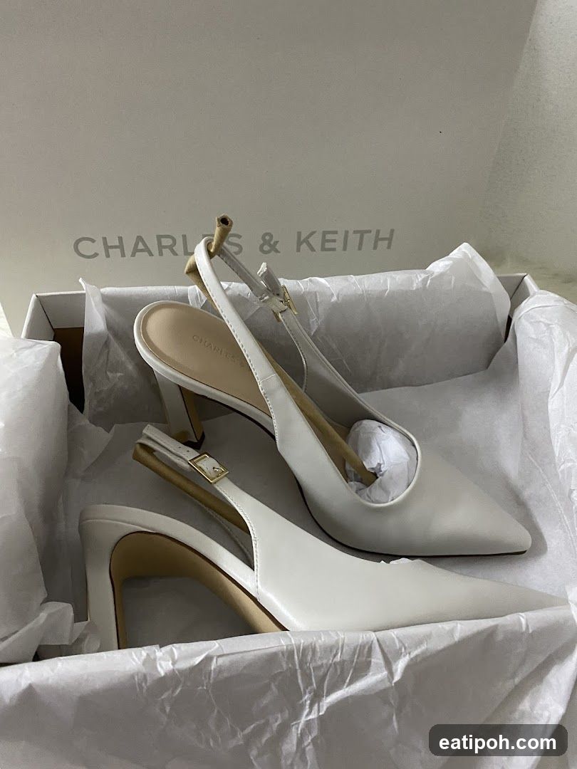 Charles & Keith Shoe Box