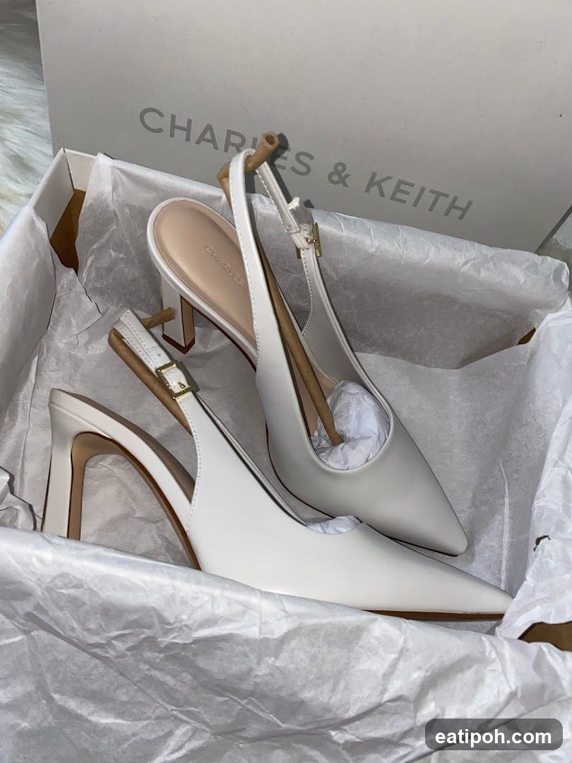 Charles & Keith Shoes