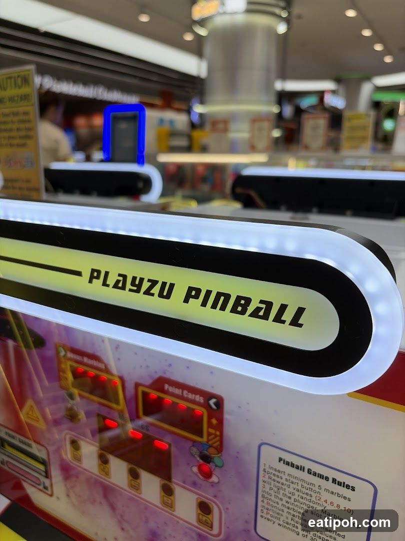 Playzu Pinball Aeon Station 18
