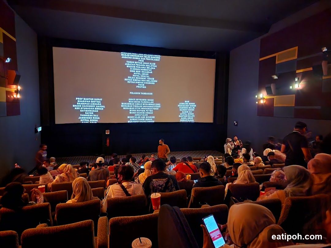 Cinema Interior During Credits