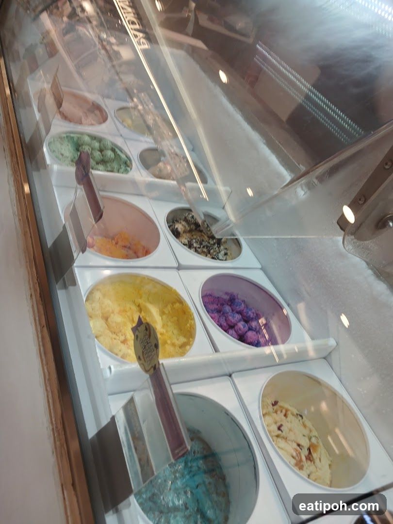 Ice Cream Display Case
