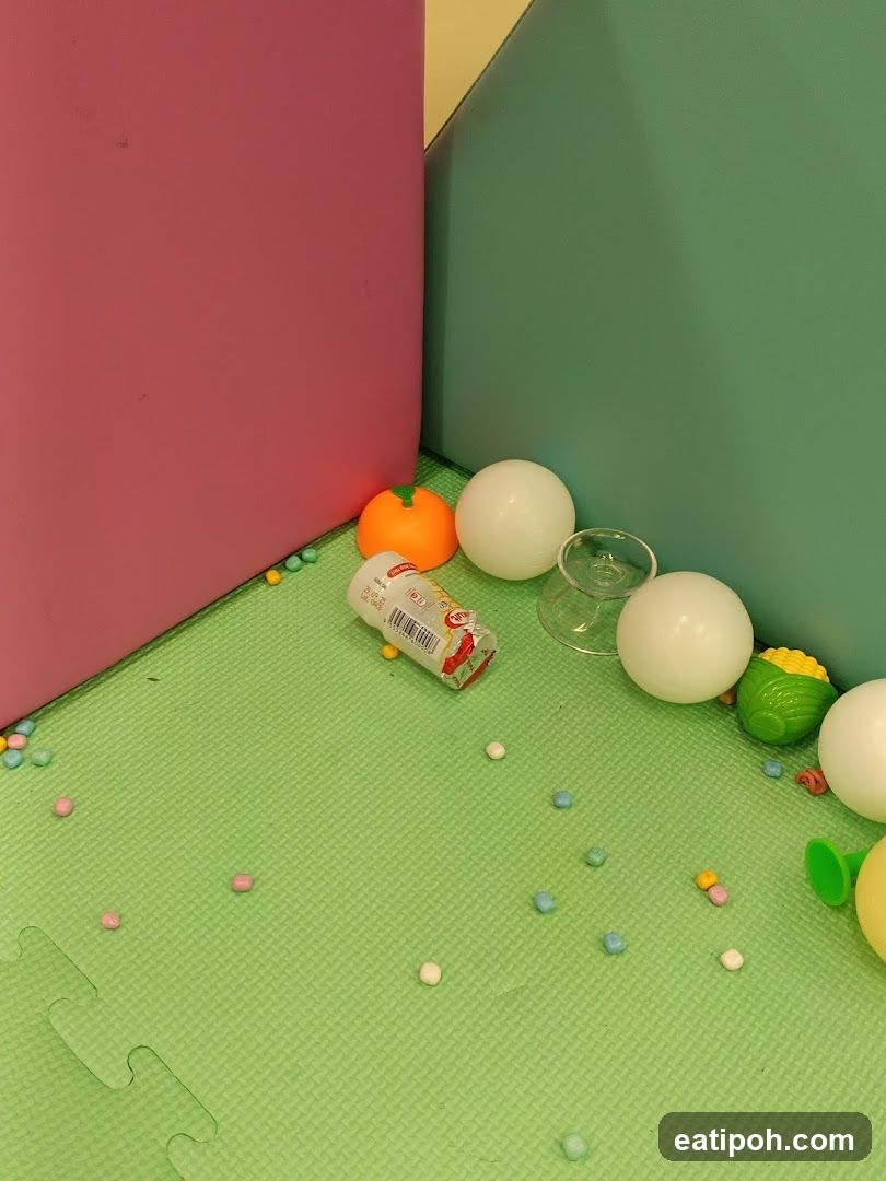 Interior Play Area
