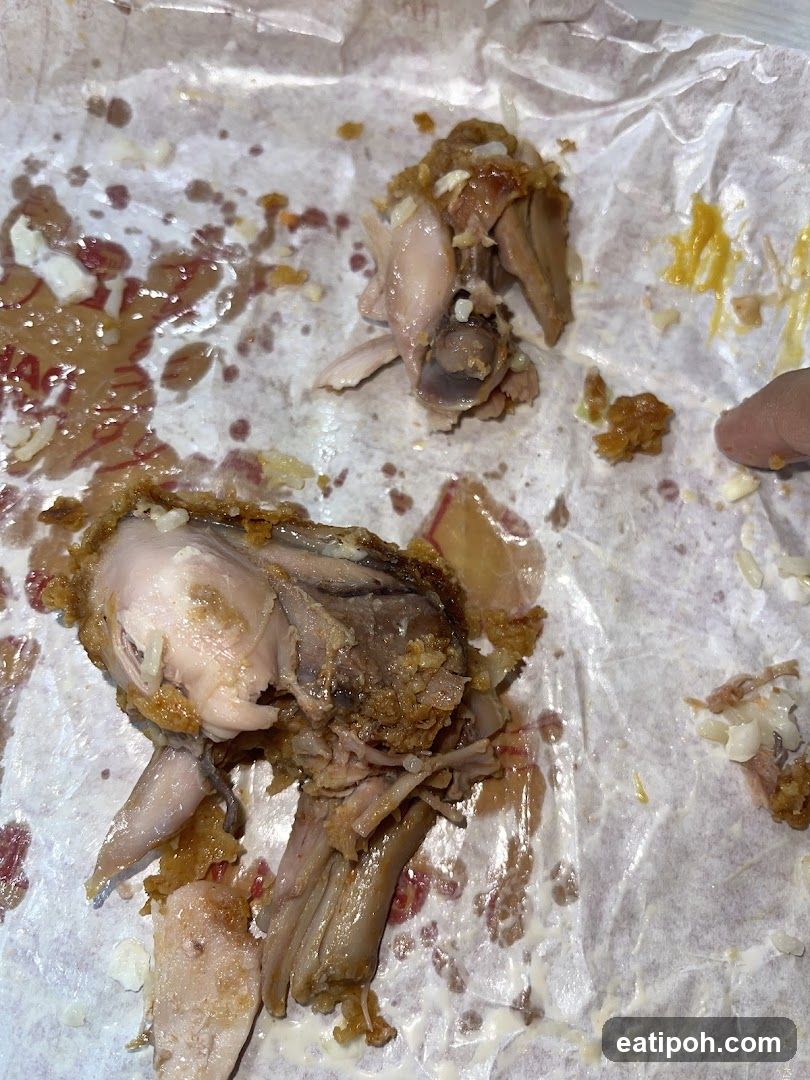 Food Remains on Paper