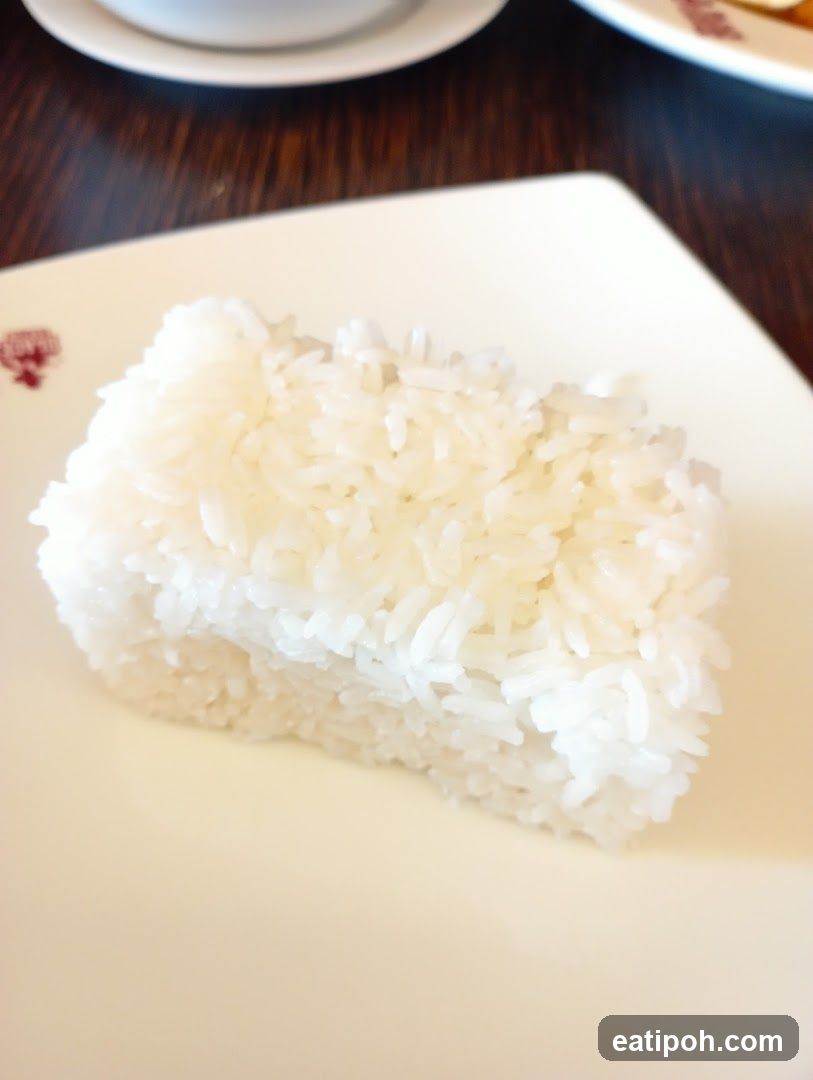 Rice on Plate