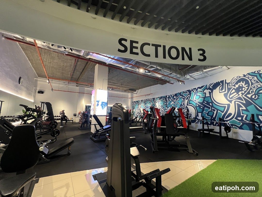 Gym Interior - Section 3