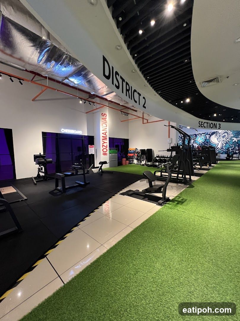 Gym Interior - District 2