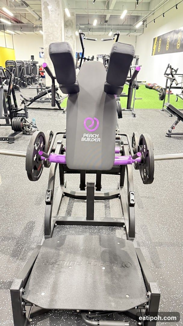 Gym Interior Equipment