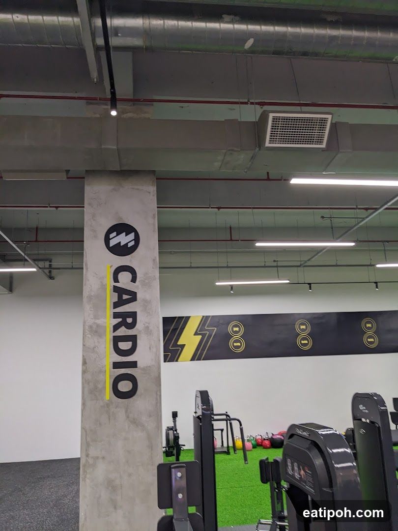 Gym Cardio Zone