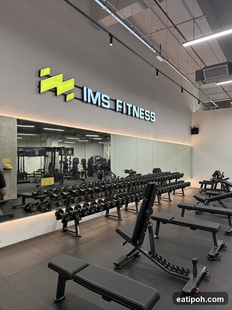 IMS FITNESS Gym Interior