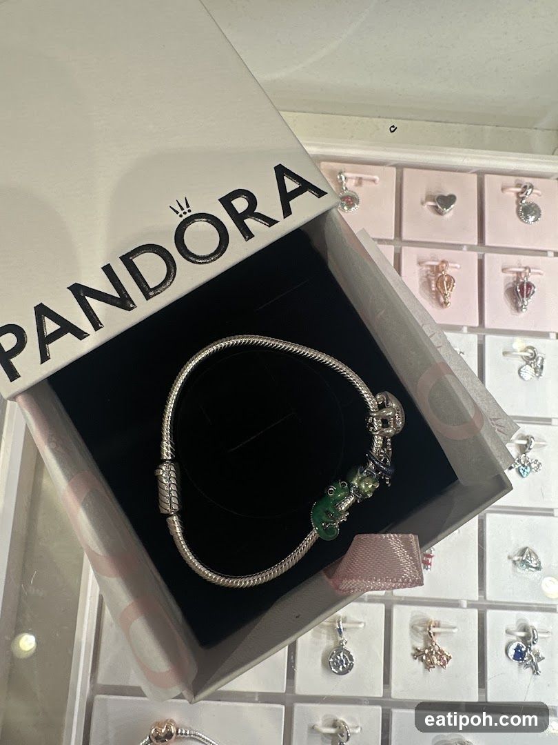 Pandora Bracelet Display