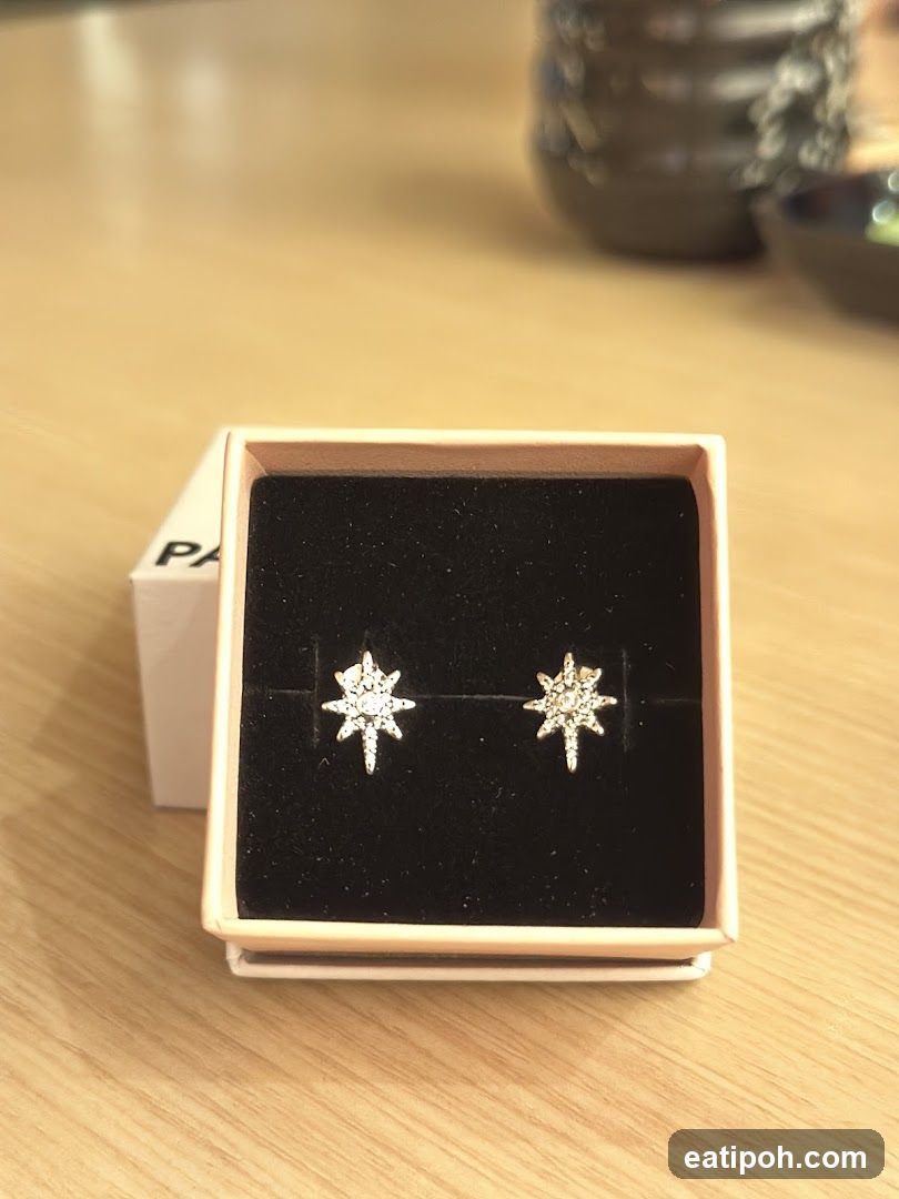 Pandora Earrings in Box