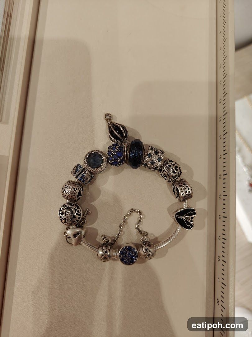 Pandora Charm Bracelet