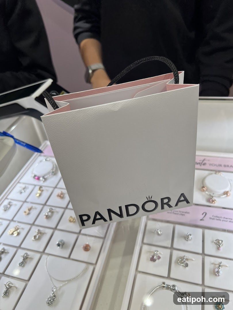 Pandora Store Interior