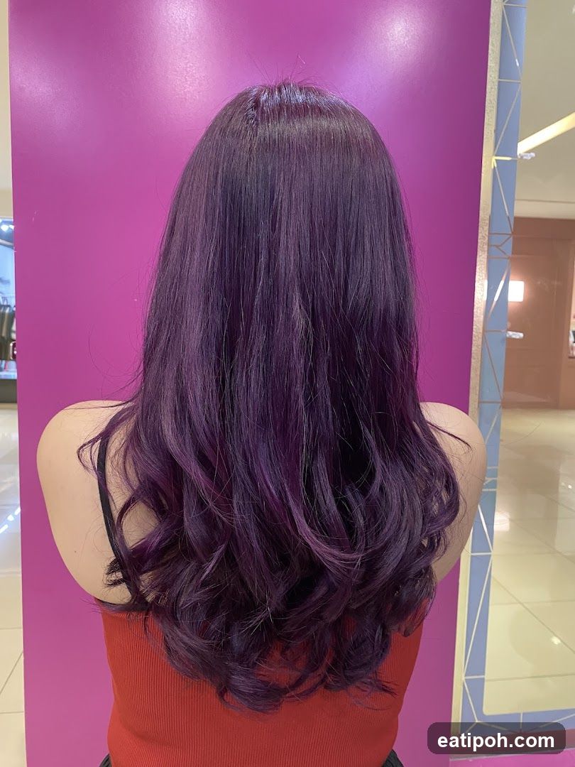 Purple Hair in Salon
