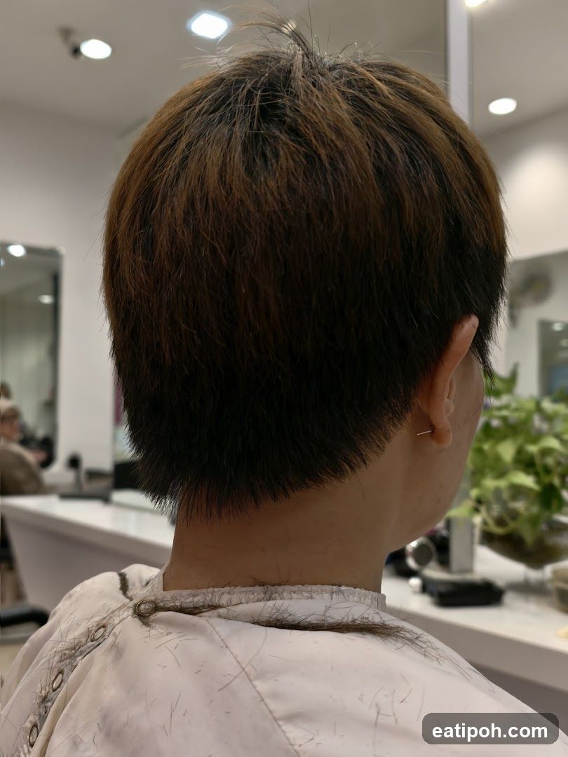 Hair Salon Interior
