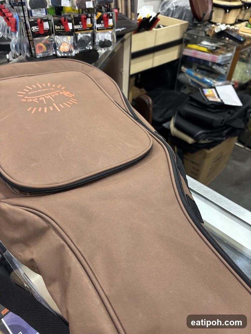 Guitar Case in Music Store Interior