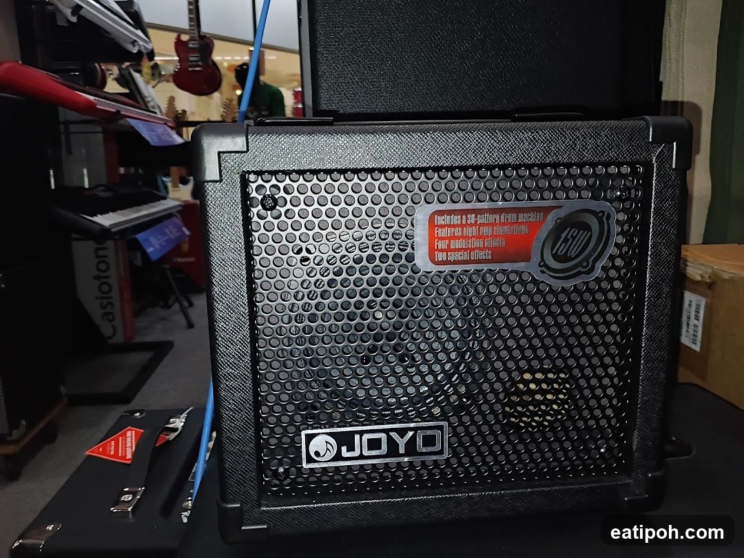 Joyo Speaker in Music Store