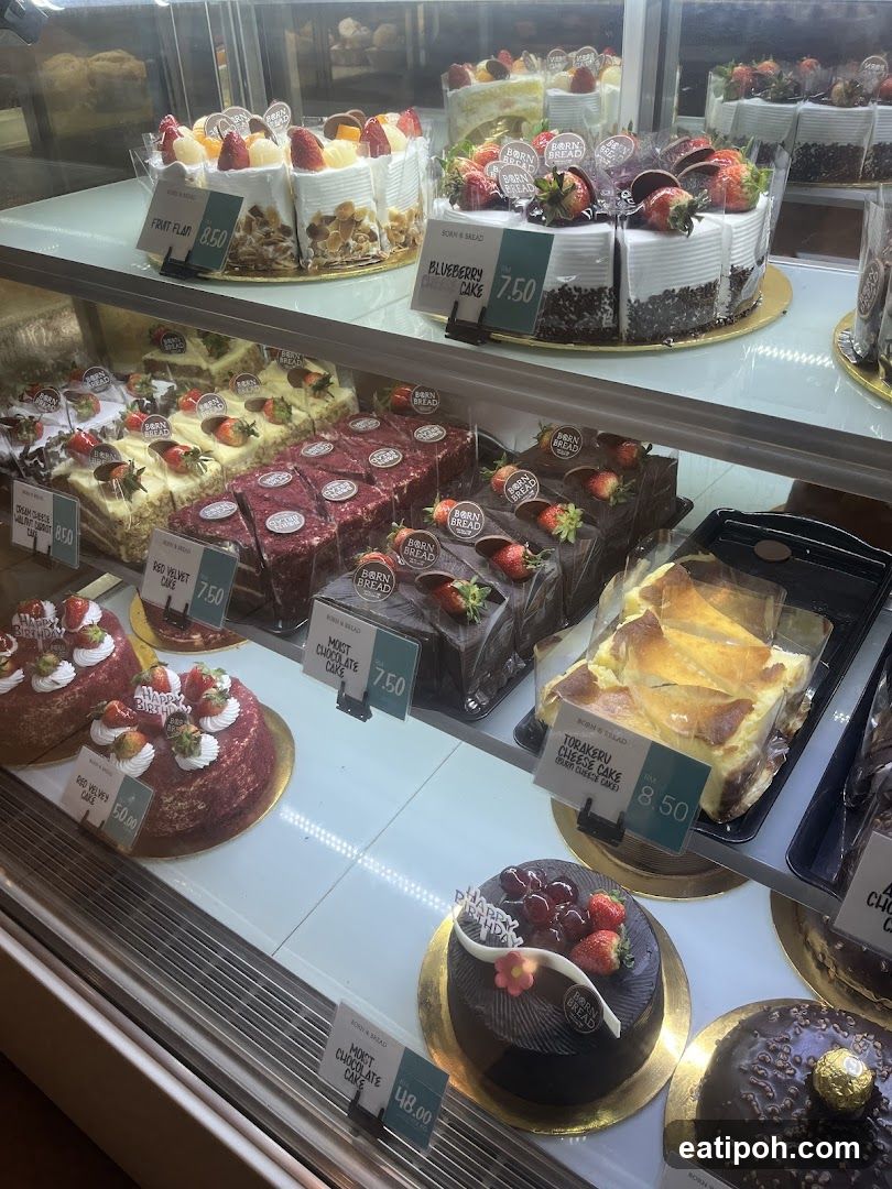 Cake Display Case