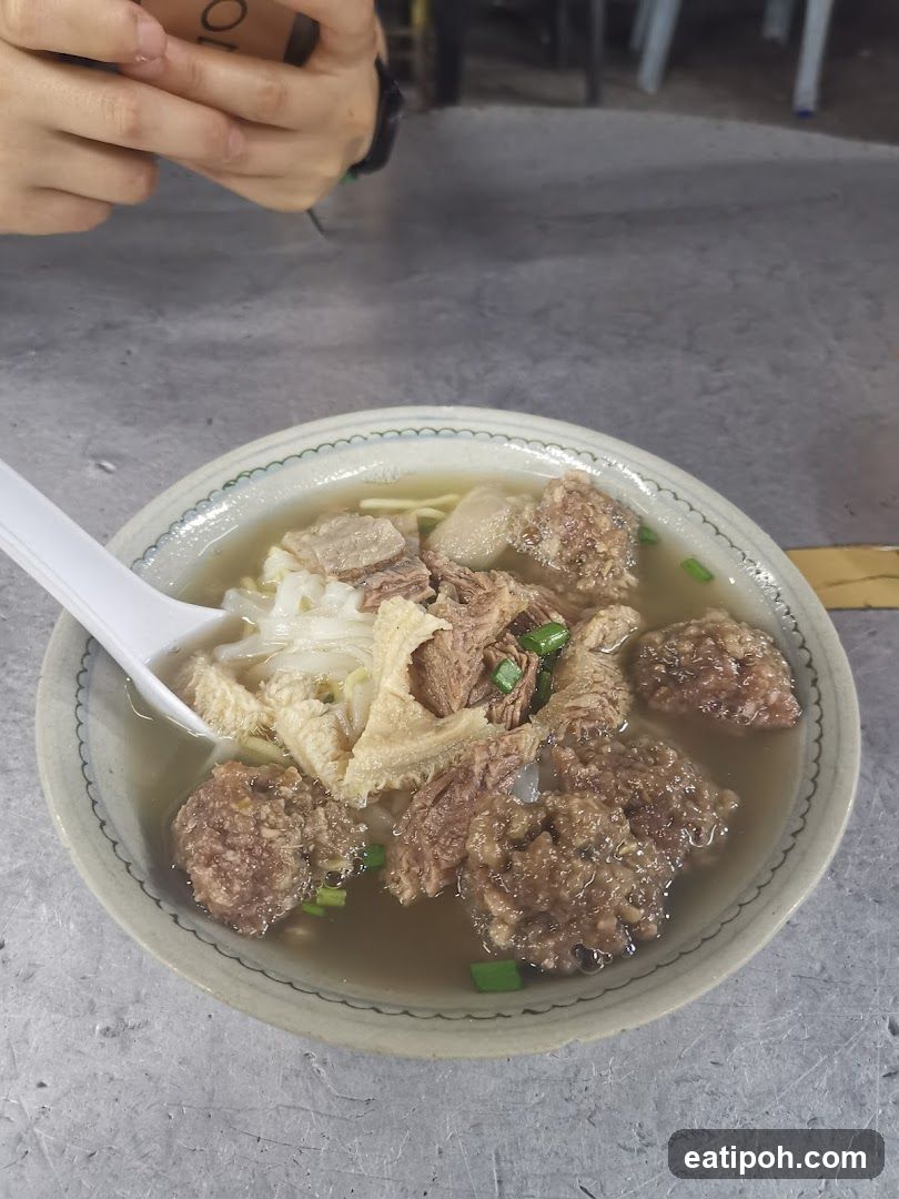 Bowl of meat soup