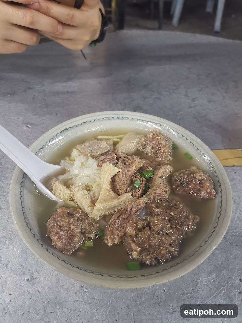 Bowl of meat noodle soup