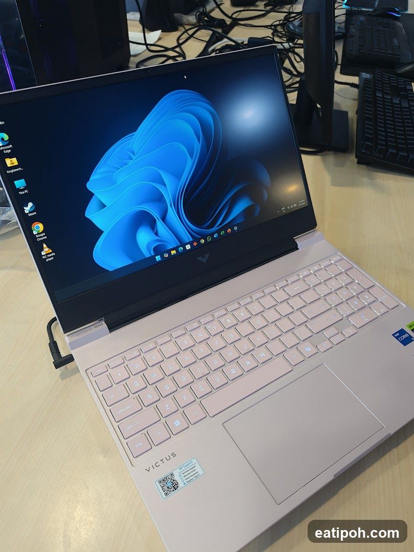 Pink HP Victus Laptop