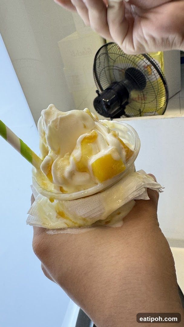 Ice Cream with Mango